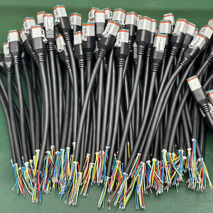 Faisceau de câblage automobile étanche DT06-6S, 1 mètre, connecteur en cuivre pur, isolation PBT, gaine en PVC, IP67 - Product Image 4