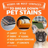 Nettoyant pour tapis orange avec logo personnalisé, éliminateur d'odeurs, spray désodorisant, détachant pour taches d'urine d'animaux, parfum d'agrumes, pour chats et chiens
