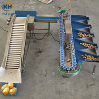 Kartonnen doos sorteermachine voor aardappelgewicht, voor groenteverwerkingsbedrijven, met toevoerelevator & PLC-sensor