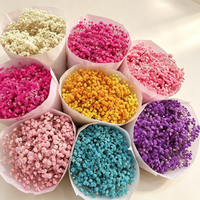 Fleur de Gypsophile Préservée Grande et Séchée Faite à la Main Marque KS pour Mariage, Saint-Valentin, Nouvel An, Thanksgiving