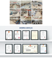 Prix d'usine – Bâtiment en structure légère d'acier pour poulailler, garage, abri, atelier, entrepôt – Durée de vie de 50 ans