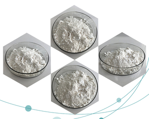 CAS 30881-23-3, многофункциональный ингредиент по уходу за кожей, 98% порошок ацетил зингерон - Product Image 6