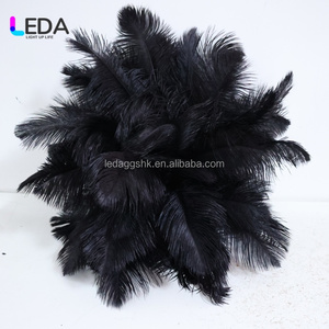 ลูกบอลขนนกสีดำตกแต่งงานแต่งงาน LEDA ลูกบอลขนนกแท้สำหรับตกแต่งงานแต่งงาน - Product Image 5