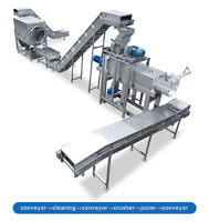 Productielijn voor het maken van fruitsap, sinaasappel-, appel-, gember-, mango-, citroen- en ananassap met koudgeperste sapcentrifuge.