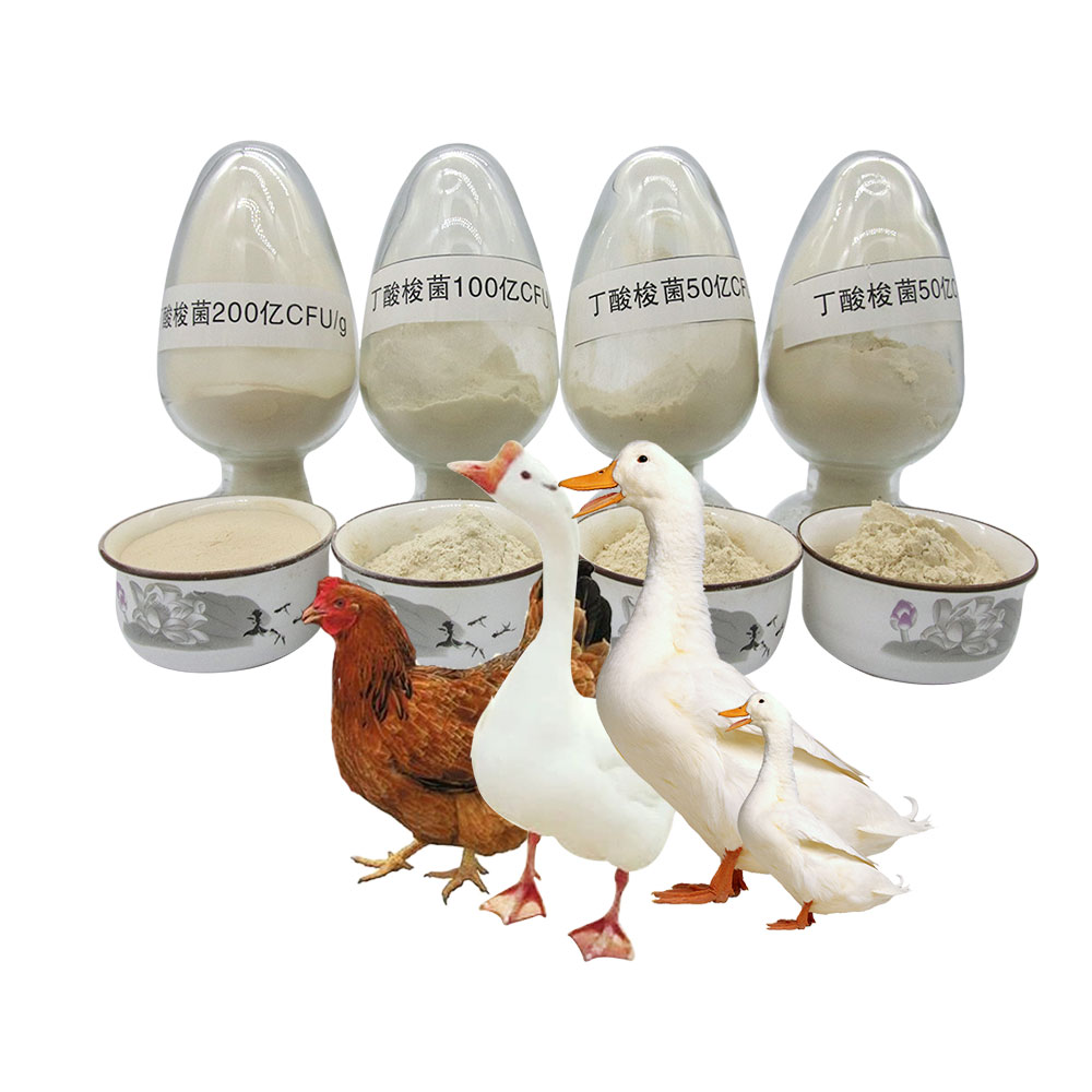 Пробиотики оптом, клострадий бутирикум для кормления животных, сырье