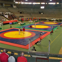 Tapis de lutte et de grappling haute sécurité 12m*12m*5cm 6cm, design cercle creux, largeur 1m, en cuir PVC et mousse XPE, personnalisable