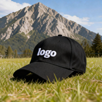 Gorras de Béisbol Unisex de 6 Paneles, Estilo Desgastado, Estructuradas, Personalizadas con Logotipo Bordado, 100% Algodón, para Hombre