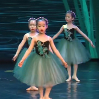 Jupe de ballet émeraude pour enfants, jupe de concours, édition professionnelle pour filles, jupe longue de performance, robe de spectacle bouffante