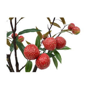 Bouquet de fleurs artificielles en plastique effet naturel, feuilles de <span class=keywords><strong>litchi</strong></span>, branche d'<span class=keywords><strong>arbre</strong></span>, pour mariage, maison, remise de diplôme, Noë<span class=keywords><strong>l</strong></span>, Nouvel An - Product Image 2