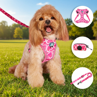 Ensemble Harnais et Laisse pour Chien en Alliage à Motif Géométrique, 3 Pièces, Réglable, Léger, avec Porte-Sac à Crottes pour Chiens Petits et Grands