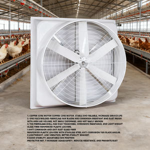 <span class=keywords><strong>พัดลม</strong></span>ไฟเบอร์กลาส |   <span class=keywords><strong>พัดลม</strong></span>แบบแรงเหวี่ยงทนการกัดกร่อน/<span class=keywords><strong>พัดลม</strong></span>ปริมาณลมสูงสำหรับโรงงานในเรือนกระจก - Product Image 5