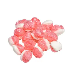 Gummy Source Manufacturers Wholesale Customised Freeze dried gummy strawberry candy