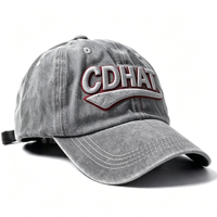 Gorra de Béisbol de Moda Urbana Americana de 6 Paneles, Estilo Desgastado, Bordado 3D, Unisex, de Algodón