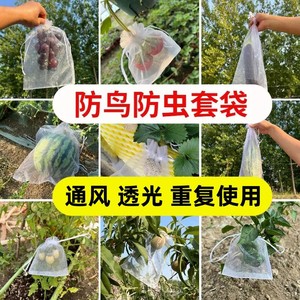 Sacs en filet anti-insectes QIAN LI pour fraises, raisins, figues, avec cordon de serrage, protection des fruits, filet de jardinage - Product Image 4