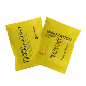 Chất lượng cao đa màu <span class=keywords><strong>s</strong></span>ắc biểu tượng tùy chỉnh bí ẩn bưu kiện Poly bưu phẩm túi nhựa vận chuyển bao bì gửi thư túi cho quần áo - Product Image 2