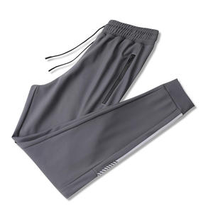 Pantalons de sport pour hommes Pantalons de jogging de gym décontractés Pantalons de sport à la mode Streetwear Workout Training Pantalons à séchage rapide - Product Image 1