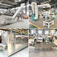 Machine de production automatisée de poudre de fèves de cacao et de beurre de cacao avec traitement d'alcalinisation pour ligne de production