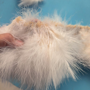 Pluma de pavo blanca lavada con doble costura de 3-5 pulgadas, pluma de sangre, pluma de marabú ensartada para atar moscas, plumas de pesca - Product Image 3