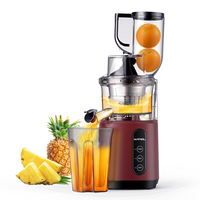 Professionele Serie Commerciële Slow Juicer Afzuigmachine Slimme Brede Voedergoot Voor Heel Fruit Langdurig Gebruik Elektrisch