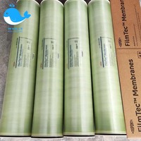 Système de traitement de l'eau par osmose inverse pour eau saumâtre FILMTEC 8040, 220V, avec pompe, PLC, boîte de vitesses, réservoir sous pression et stockage, garantie 1 an