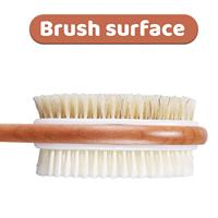 Brosse de massage corporelle pour la douche et le bain, avec manche long en bois, poils naturels de sanglier et crin de cheval, et logo laser gratuit