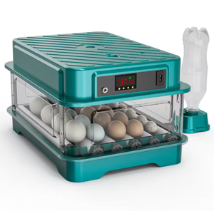 Incubateur solaire spécifique pour l'Afrique avec double alimentation, adapté aux environnements à haute température et utilisable dans les zones éloignées - Product Image 4