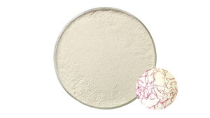 <span class=keywords><strong>Insen</strong></span> fournit une poudre de Bacillus Megaterium à haute teneur - Product Image 5