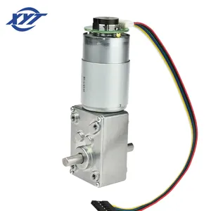 XYT 电动马达 12 24 伏高扭矩蜗杆编码器直流拉丝电机玩具