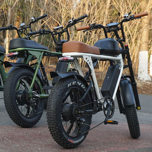 จักรยานเสือภูเขา E Bike 48V ถอดได้ E MTB,ยางมอเตอร์ไซค์ไฟฟ้าขนาด<span class=keywords><strong>1000W</strong></span> ซูเปอร์20นิ้ว - Product Image 1