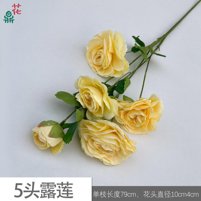 Lulian jyg 5หัวสีเหลือง