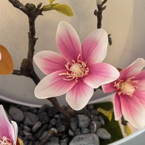 Magnolia Bonsái Artificial LED de Alta Gama, Adorno Luminoso para Mesa, Regalo de Navidad o San Valentín para Decoración del Hogar u Hotel - Product Image 3