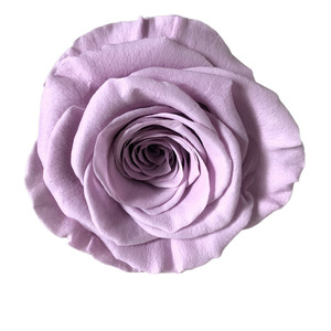 Fornitura diretta in fabbrica rose arcobaleno conservate all'ingrosso 5-6cm A grade <span class=keywords><strong>boutique</strong></span> - Product Image 2