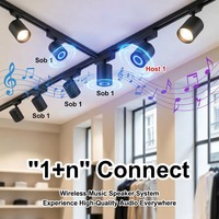 Speaker Rel Magnetik 48V, Lampu Sorot LED COB yang Dapat Diredupkan, Modul Audio Pemasangan di Langit-langit Rumah Pintar