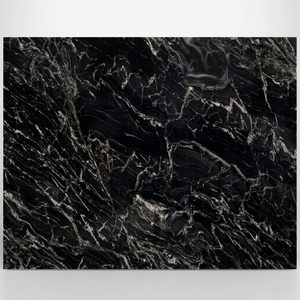 Dalle de granit Forêt Noire, surface polie, 316x202cm, design moderne, application durable pour comptoir - Product Image 1