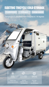 Tianqiao 10-inch điện 3 bánh chở hàng ba bánh lạnh di động Hệ thống làm mát kem copeland lưu trữ phòng lạnh - Product Image 5