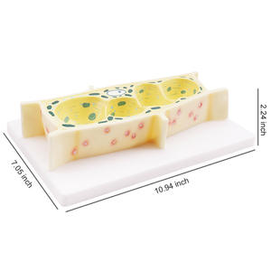 Recursos <span class=keywords><strong>de</strong></span> enseñanza médica Modelo <span class=keywords><strong>de</strong></span> célula <span class=keywords><strong>de</strong></span> planta médica Equipo <span class=keywords><strong>de</strong></span> modelo anatómico experimental para escuelas primarias y secundarias - Product Image 3