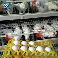 Cage de batterie de couche de poulet/cage de poussin Maison de poulet commerciale/ferme avicole 3 couches 4 couches 10 ensembles Cage 1000 ensembles fournis 90