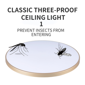 Plafoniera a <span class=keywords><strong>LED</strong></span> Dingdian a Risparmio Energetico, Moderna, Ultra Sottile, Antipolvere, AC220V 32W, Luce Bianca Diurna, per Camera da Letto e Sala da Pranzo - Product Image 2
