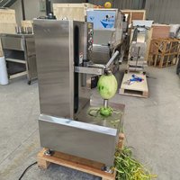 Éplucheur et trancheur électrique de mangues pour la préparation de chips, machine à éplucher les fruits et légumes verts crus