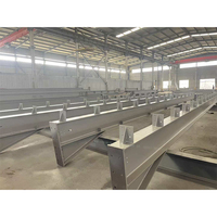 Poutre en acier galvanisé en forme de H Q235 300*300 pour bâtiment industriel, conception chinoise, garantie à vie