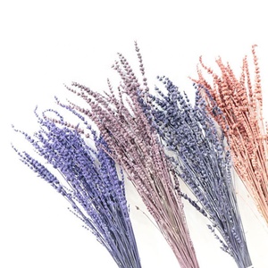 Flores decorativas preservadas <span class=keywords><strong>lavanda</strong></span> flor estabilizada <span class=keywords><strong>lavanda</strong></span> - Product Image 2