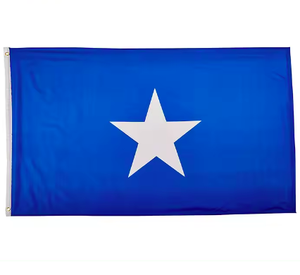 לוגו מותאם אישית באיכות גבוהה דגל המדינה הסומלית עם דגל בגדלים שונים - Product Image 5