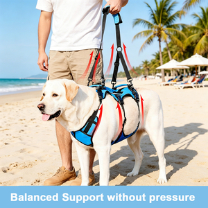 Pet Dog Lift Harness Support Sling for Arthritis Elderly Joint Injury Dogs Rehabilitation Recovery <b>Walking</b> Helper Lift Harness - Product Image 6