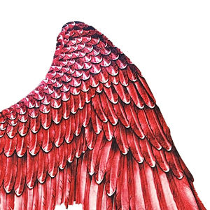 Sıcak satış üç renk şeytan kanatları melek kanatları kostüm aksesuarları rol oynamak için cadılar bayramı partisi - Product Image 3