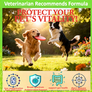 Pasta di Lactoferrina Senza Lattosio Best-Seller dell'Azienda AINA, Assorbimento Rapido per Gatti e Cani, Immunità, Salute Intestinale, Digestione Sensibile - Product Image 3