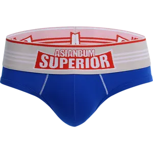 Hoge Kwaliteit Aangepaste Merk Logo Oem Odm Fabriek Directe Levering Fabriek Groothandel U Convex Man Slips & Boxers Ondergoed Mannen