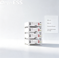 Batterie LiFePO4 Deye SE-G5.1Pro-B 5.12kWh à montage en rack pour stockage d'énergie solaire domestique, compatible avec les onduleurs solaires hybrides
