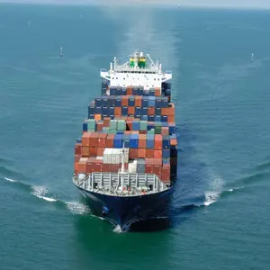 Günstigster Seefracht tarif Von China nach Singapur Indien Malaysia Seefracht Tür-zu-Tür-Service