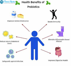Food Grade Lactobacillus <span class=keywords><strong>Gasseri</strong></span> Probiotica Poeder 10 Miljarden Cfu Gevriesdroogde Lactobacillus <span class=keywords><strong>Gasseri</strong></span> - Product Image 5