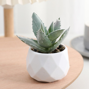 Plantas Suculentas Artificiales de PVC con Aspecto de Diamante, Adornos para Macetas de Escritorio, Ideales para Decorar con Suculentas - Product Image 3